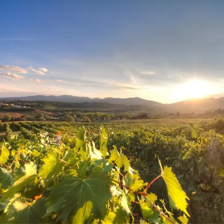 Fattoria Casagrande Alloggio per agriturismo *